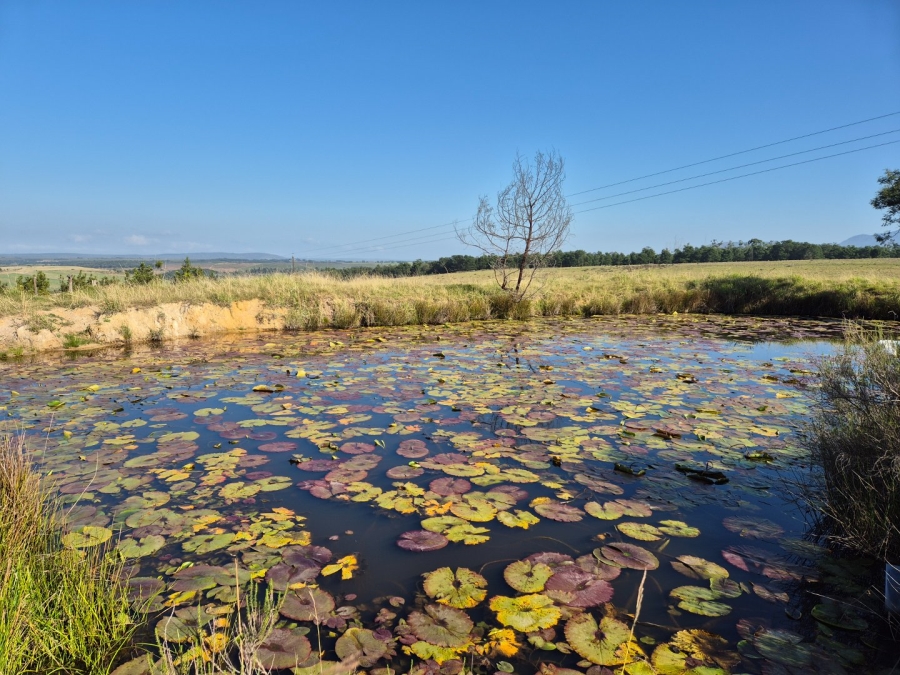  Bedroom Property for Sale in Mossel Bay Rural Western Cape